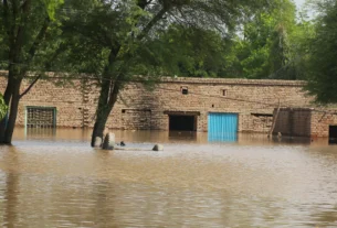 Record Monsoon Floods Ravage Punjab's Heartland: A Human Crisis in India’s Breadbasket