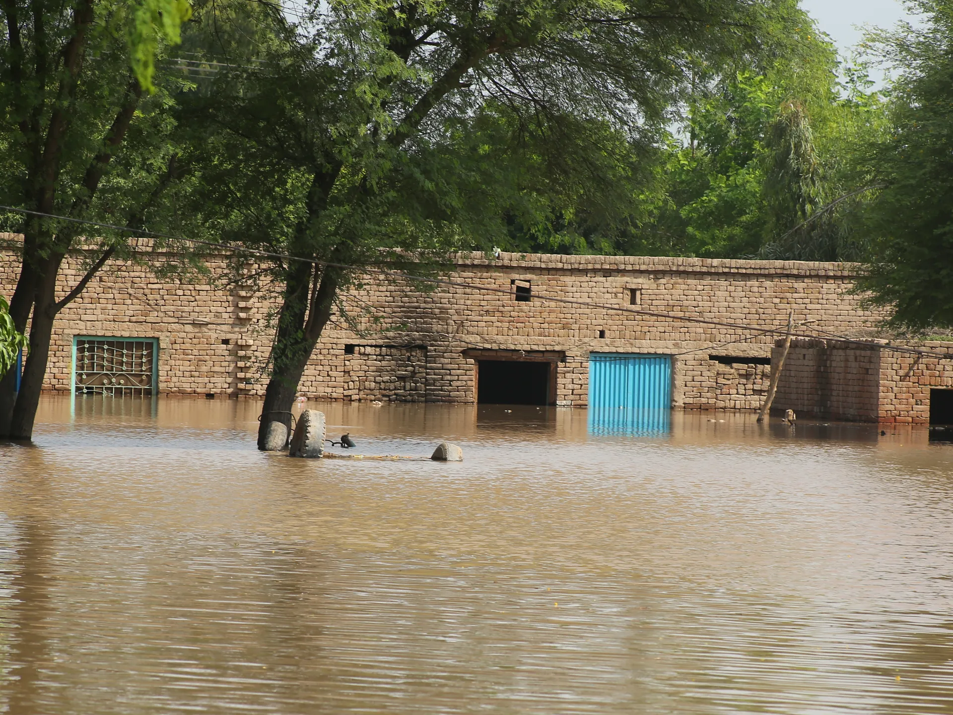 Record Monsoon Floods Ravage Punjab's Heartland: A Human Crisis in India’s Breadbasket
