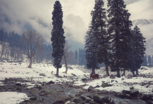 Fresh Snowfall Touches Kashmir as Overcast Skies Offer Brief Relief From Cold Wave