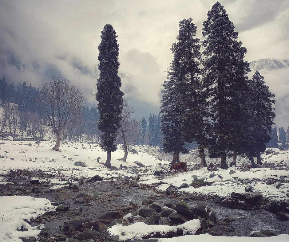 Fresh Snowfall Touches Kashmir as Overcast Skies Offer Brief Relief From Cold Wave