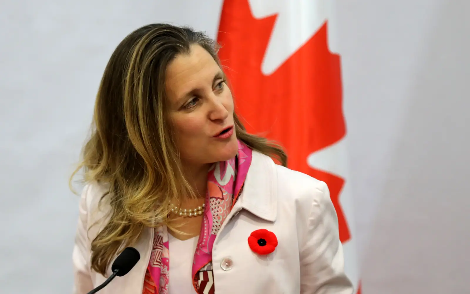 Ex-Canadian Foreign Minister Chrystia Freeland Leaves Parliament to Support Ukraine as Economic Advisor