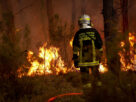 France and Spain Face Historic Wildfire Emergency as Relentless Heatwave Intensifies the Crisis