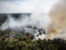 Forest fire grows rapidly in Dutch nature reserve as firefighters battle to stop the flames