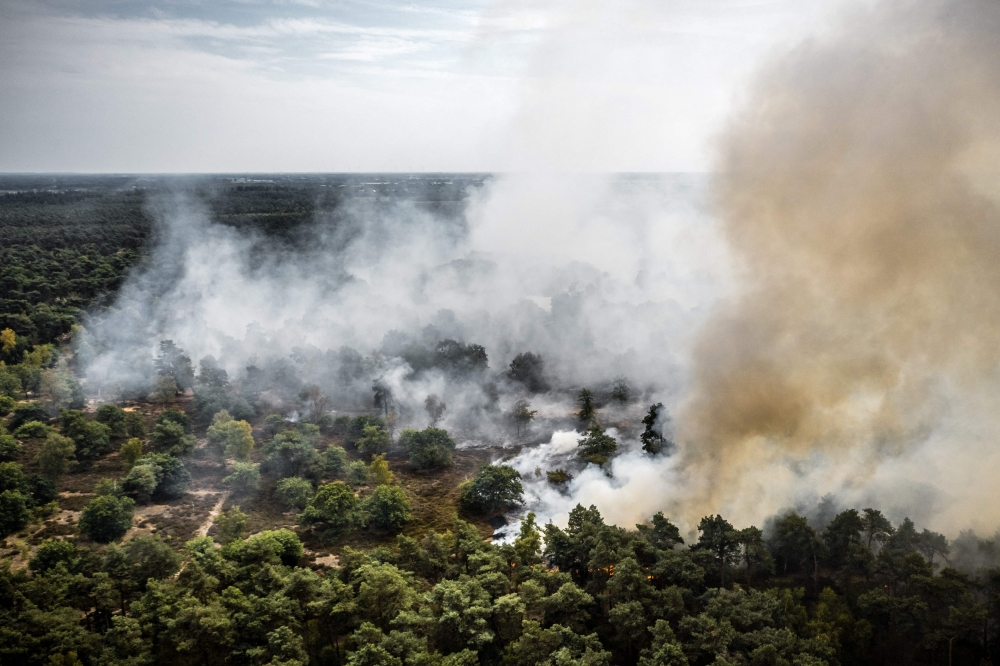 Forest fire grows rapidly in Dutch nature reserve as firefighters battle to stop the flames